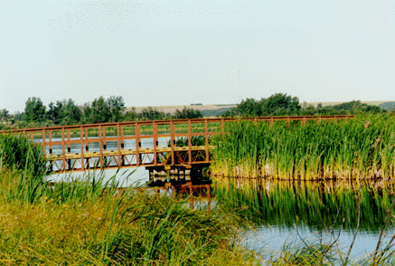 McQueen’s Slough, Waterfowl Reserve, Dawson Creek – Photo by G.R. Clare